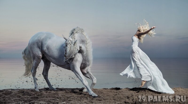 Woman and White Horse — Dramatic, Sunset