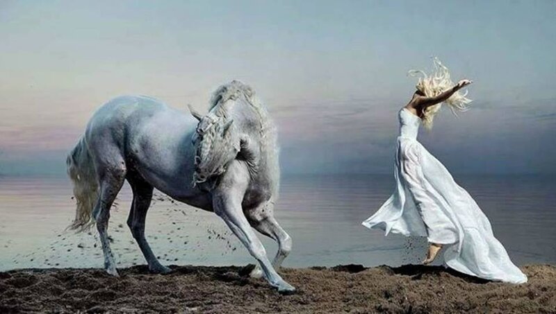 Woman and White Horse — Dramatic