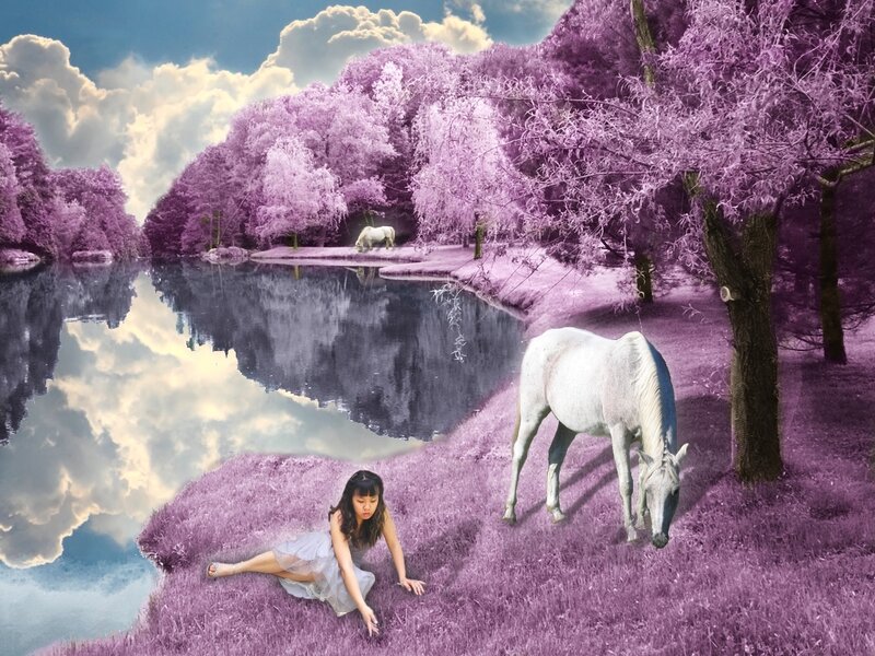Woman and White Horse — Purple, Serene, Digital Art