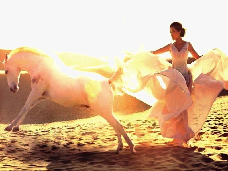 Woman and White Horse