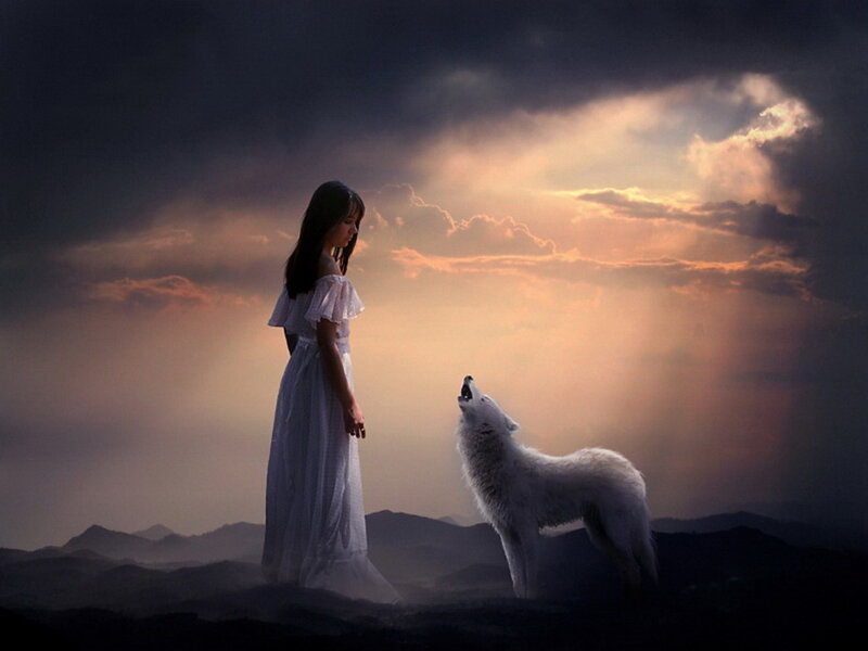 Woman and White Wolf — Dramatic, Sunset