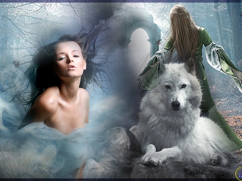 Woman and White Wolf — Fantasy, Digital Art