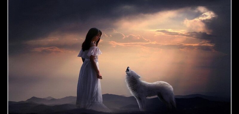 Woman and White Wolf — Gray, Dramatic