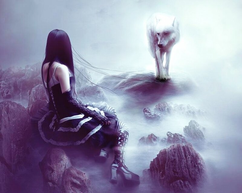 woman and white wolf on rocks