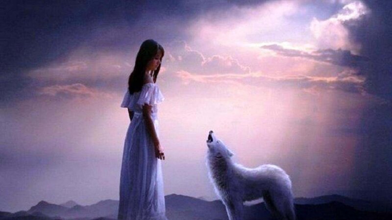 Woman and White Wolf — Purple, Dramatic