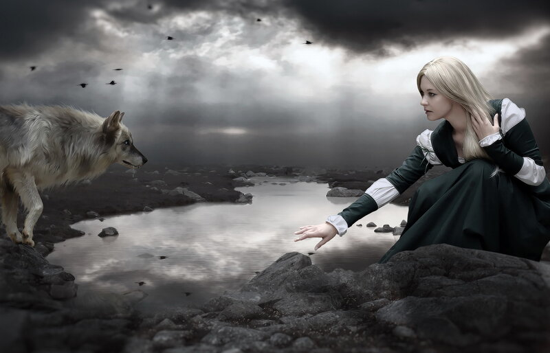 Woman and Wolf — Gray, Dramatic, Night