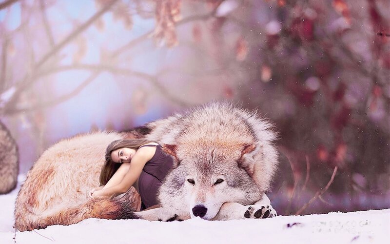 Woman and Wolf in Snow — White