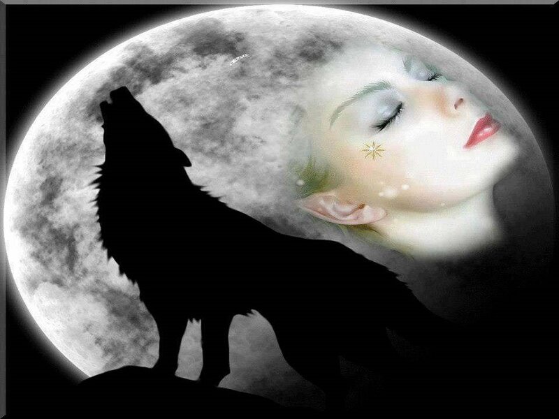 Woman and Wolf Silhouette