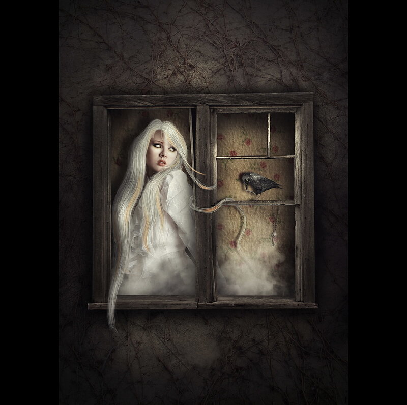 woman at a window with crow