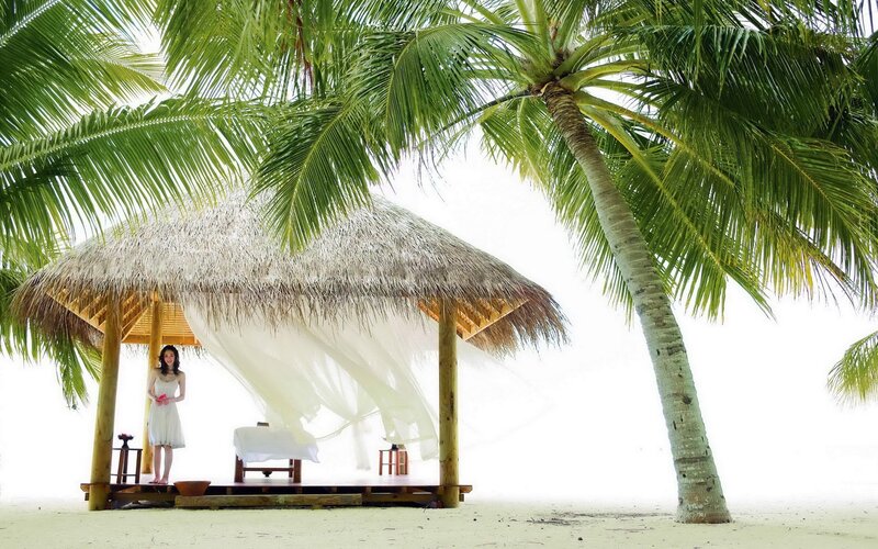 Woman at beach hut under palm tree