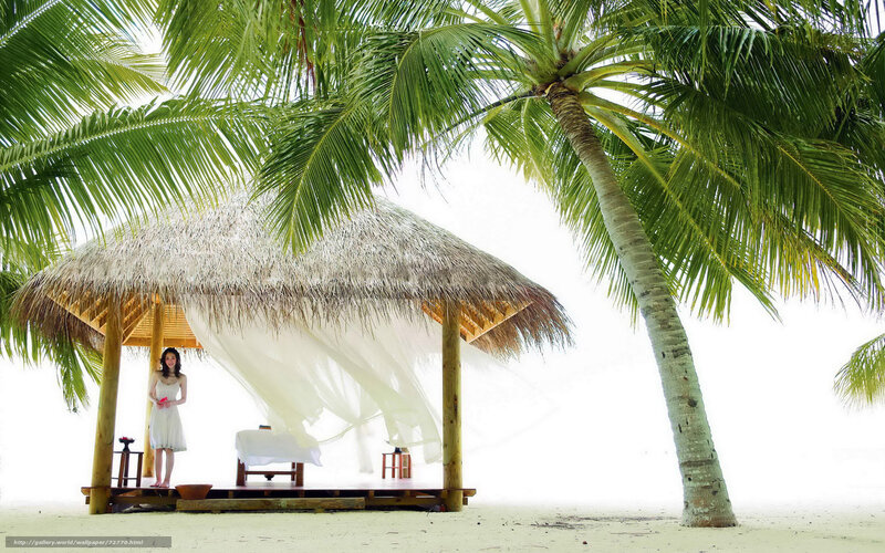 Woman at beach hut under palm tree