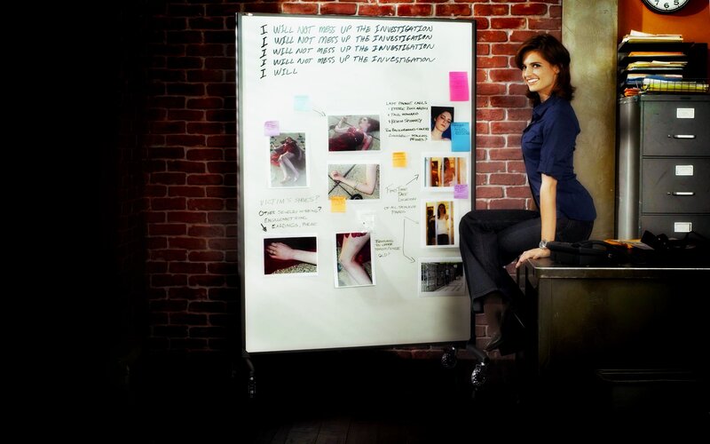 Woman at investigation board