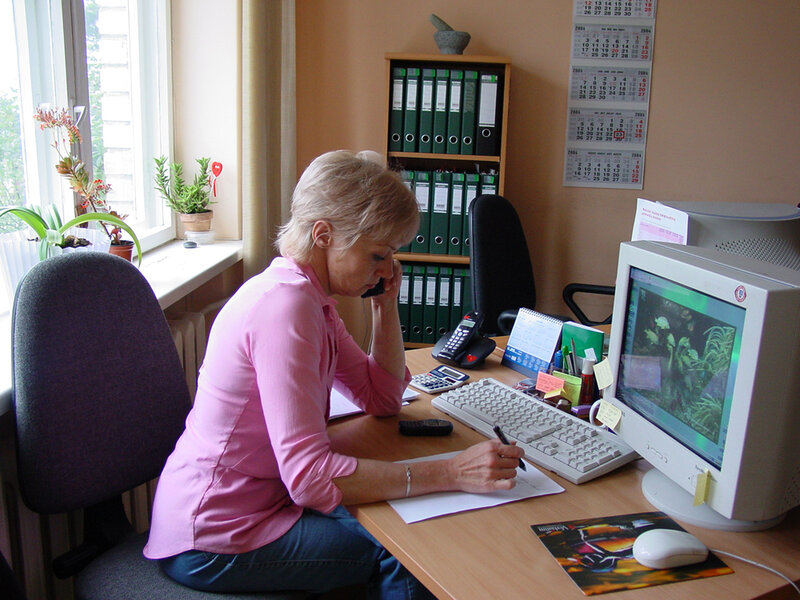 Woman at Office Desk — Pink