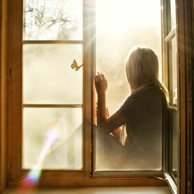 Woman at Window with Butterfly