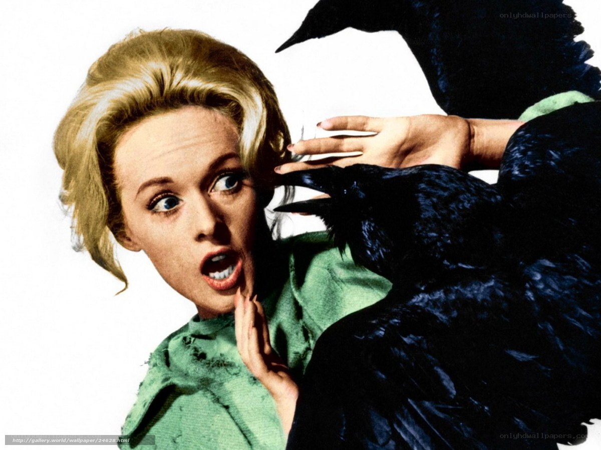 Woman attacked by crows