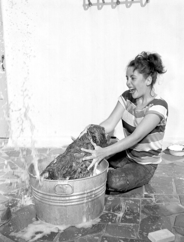woman bathing dog in tub