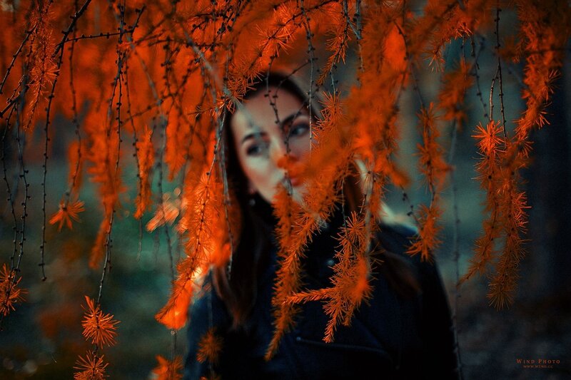 woman behind autumn branches