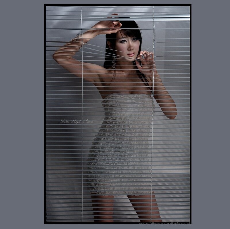 Woman Behind Blinds — Gray