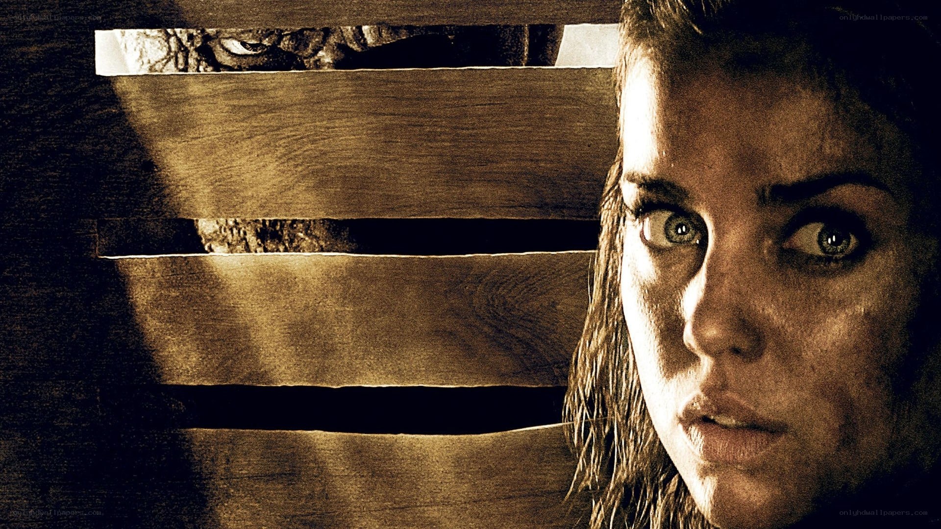 woman behind wooden slats