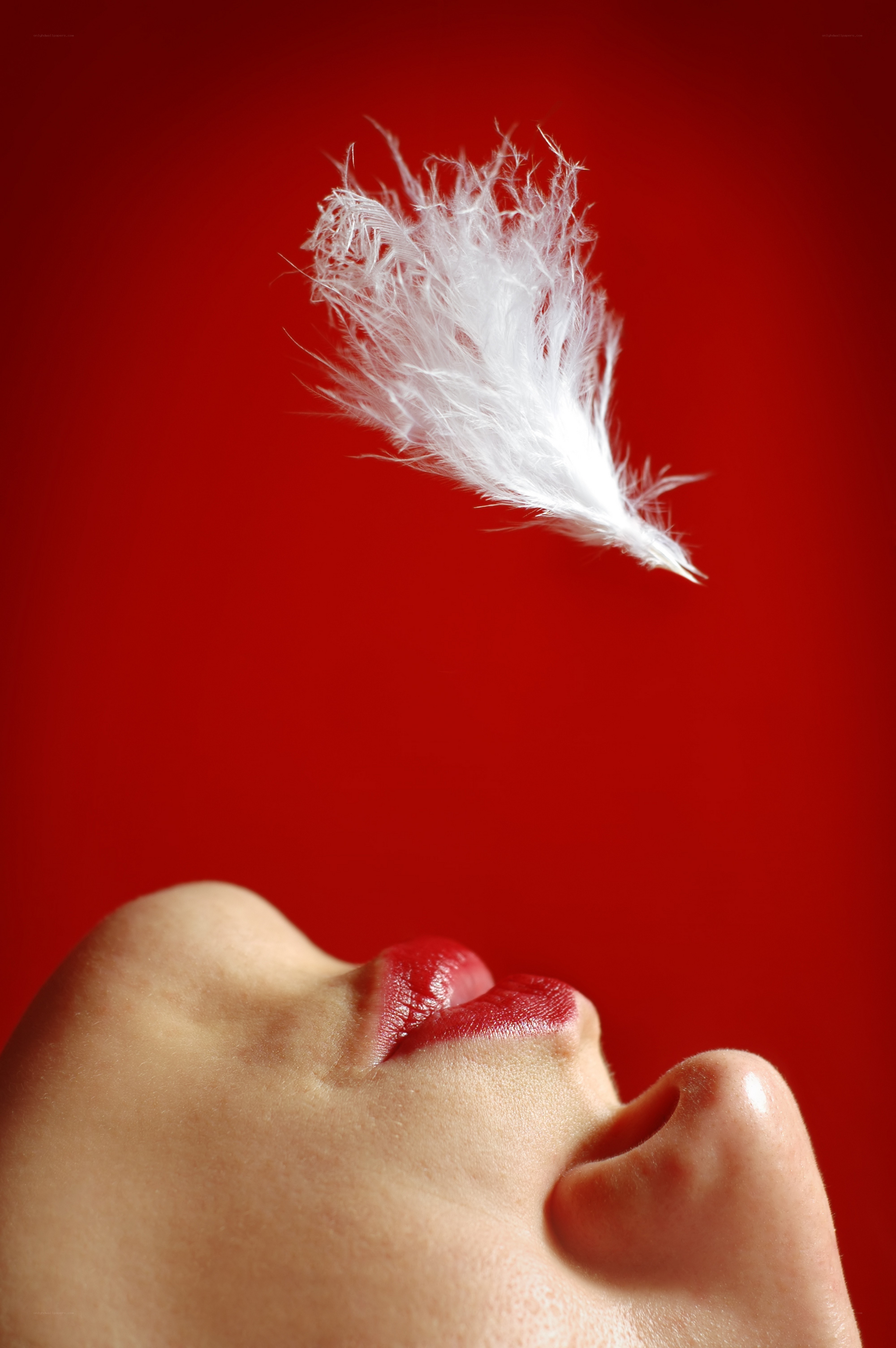 woman blowing a feather