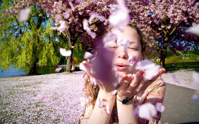 Woman Blowing Cherry Blossoms