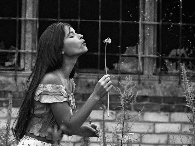 Woman Blowing Dandelion — Black, Serene