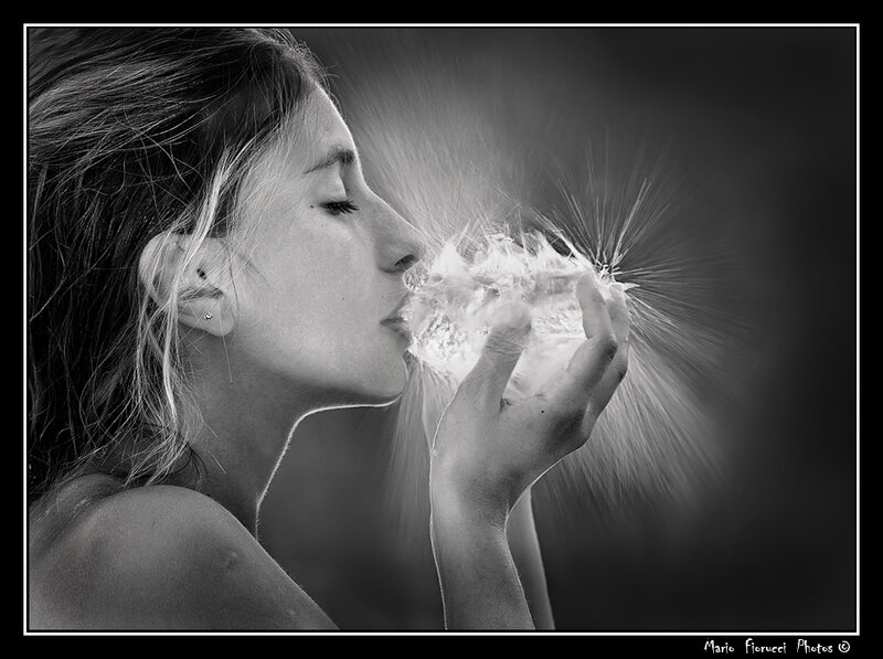 Woman Blowing Dandelion — Black