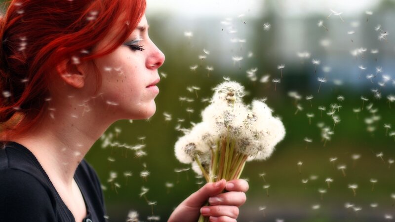 woman blowing dandelion seeds