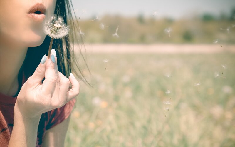 woman blowing dandelion seeds