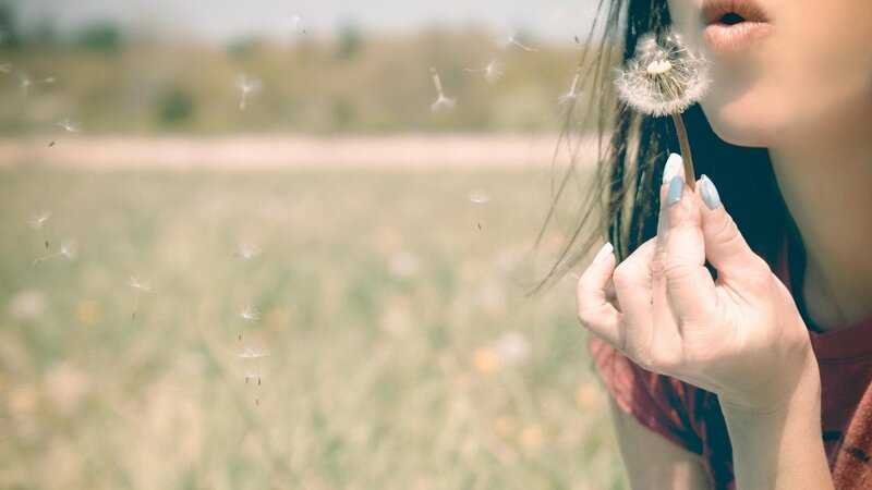 woman blowing dandelion seeds