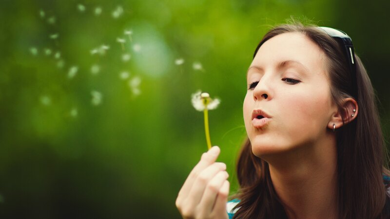 woman blowing dandelion seeds