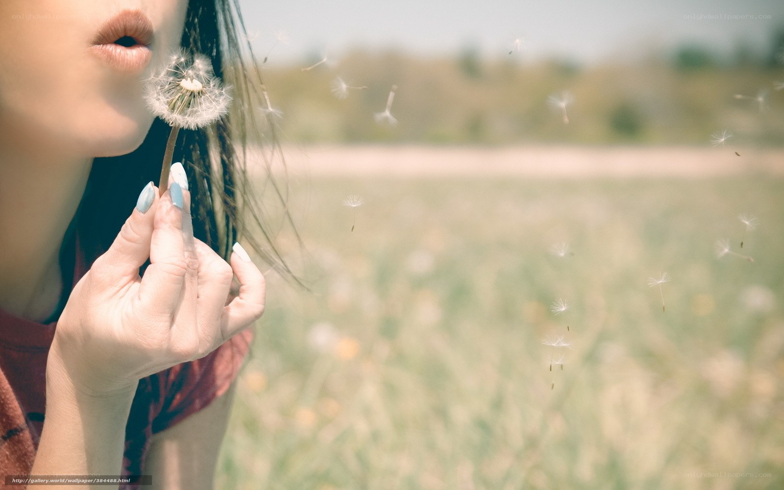 woman blowing dandelion seeds
