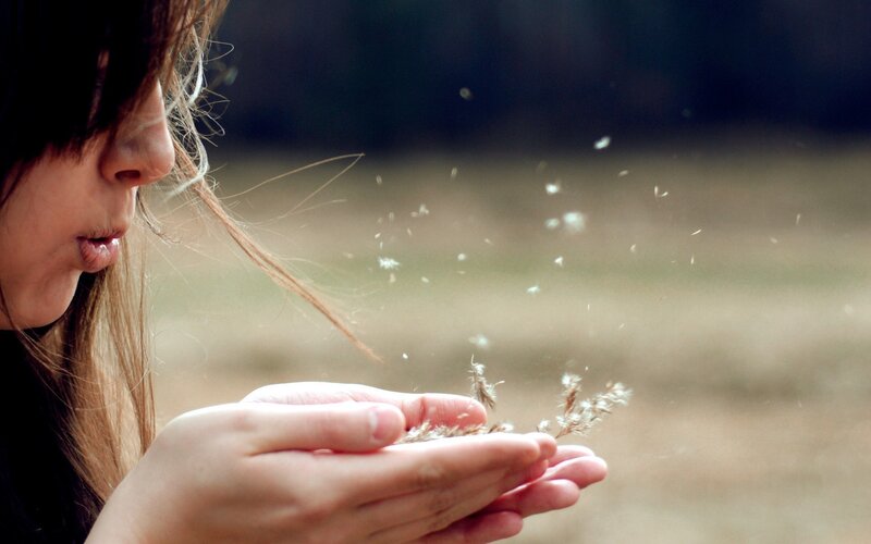woman blowing dandelion seeds