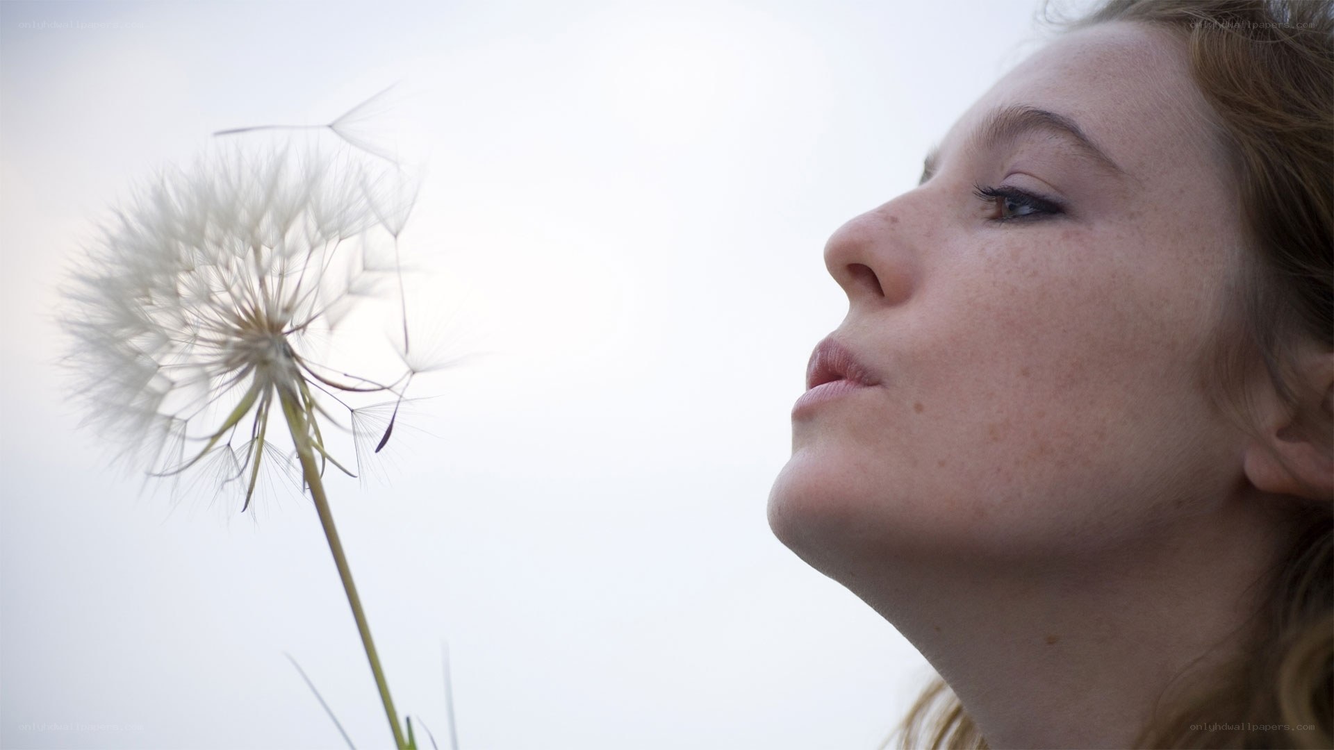 woman blowing dandelion seeds