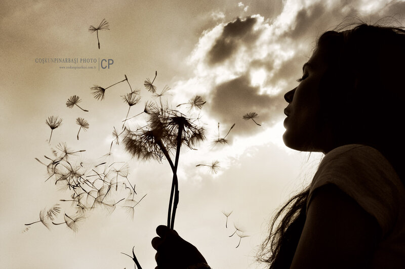 Woman Blowing Dandelion — Sepia