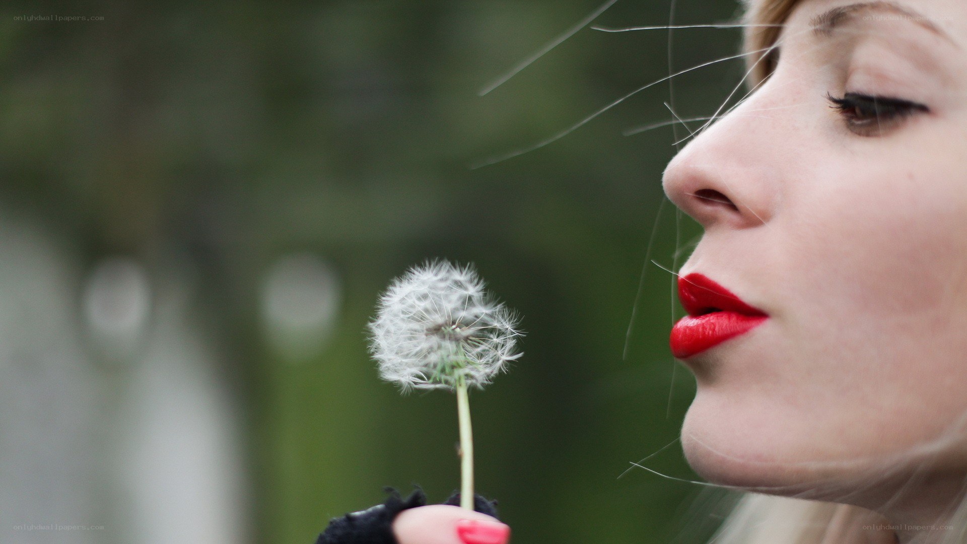 woman blowing dandelion