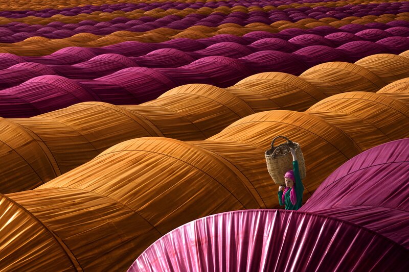 Woman Carrying Basket — Purple