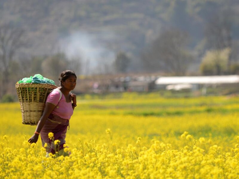Woman Carrying Basket — Yellow