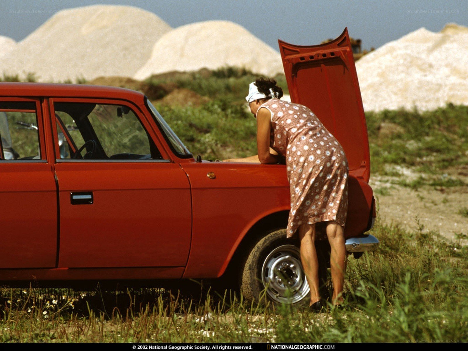 woman checking car engine