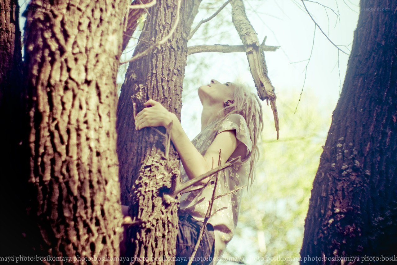 woman climbing a tree