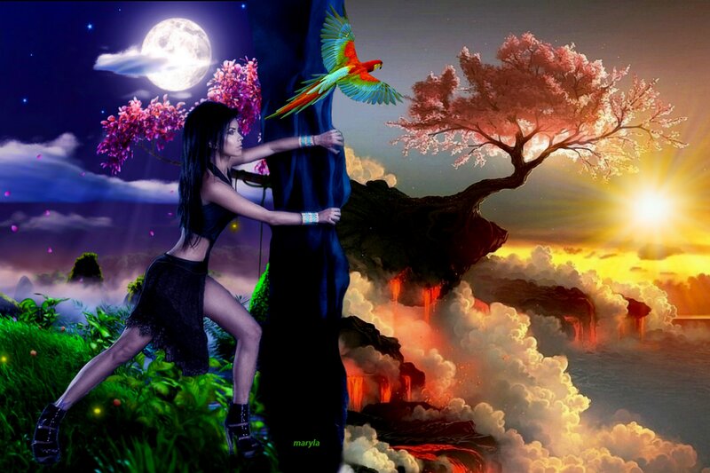 Woman Climbing Tree