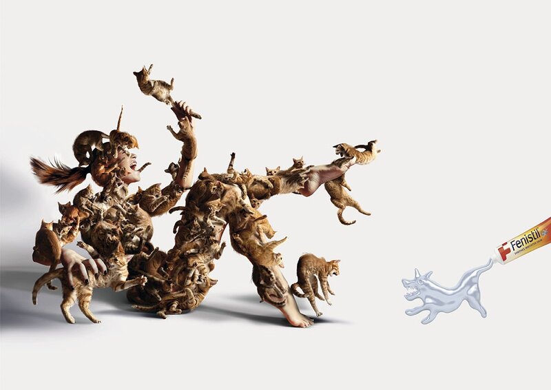 woman covered in kittens