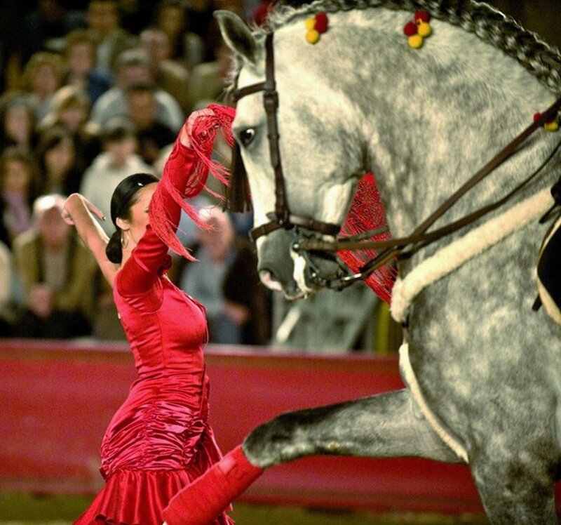 Woman Dancing with Horse — Red