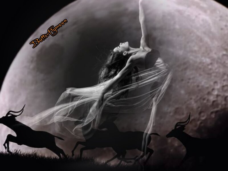 Woman Dancing with Veil