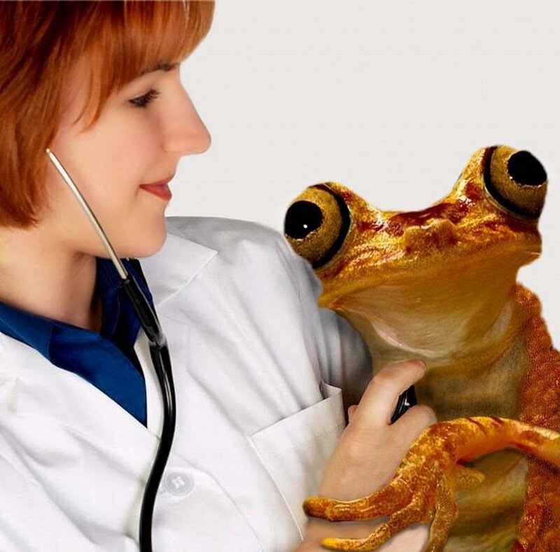 Woman Doctor with Frog