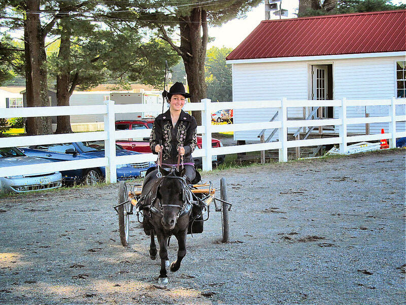 Woman Driving a Horse Cart