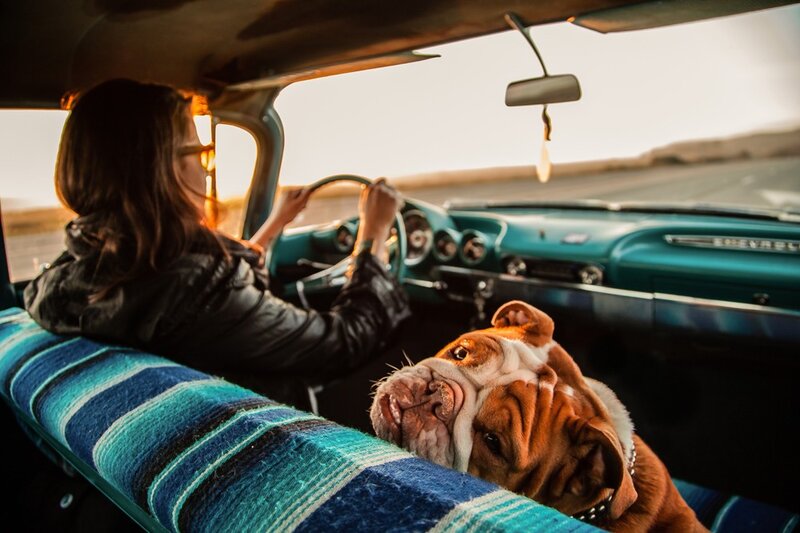 woman driving with dog in car