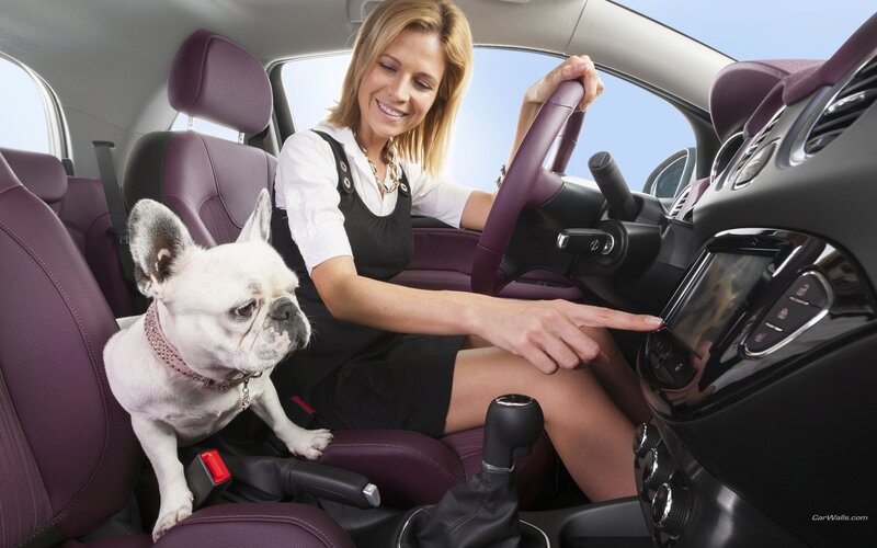Woman driving with dog in car