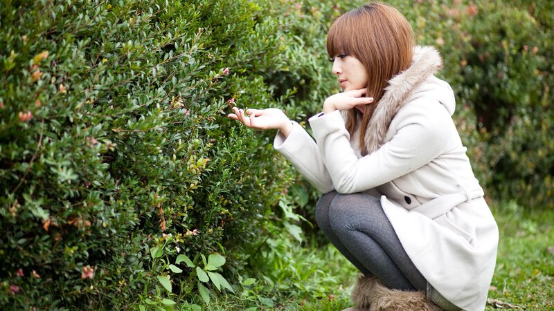 woman examining a bush