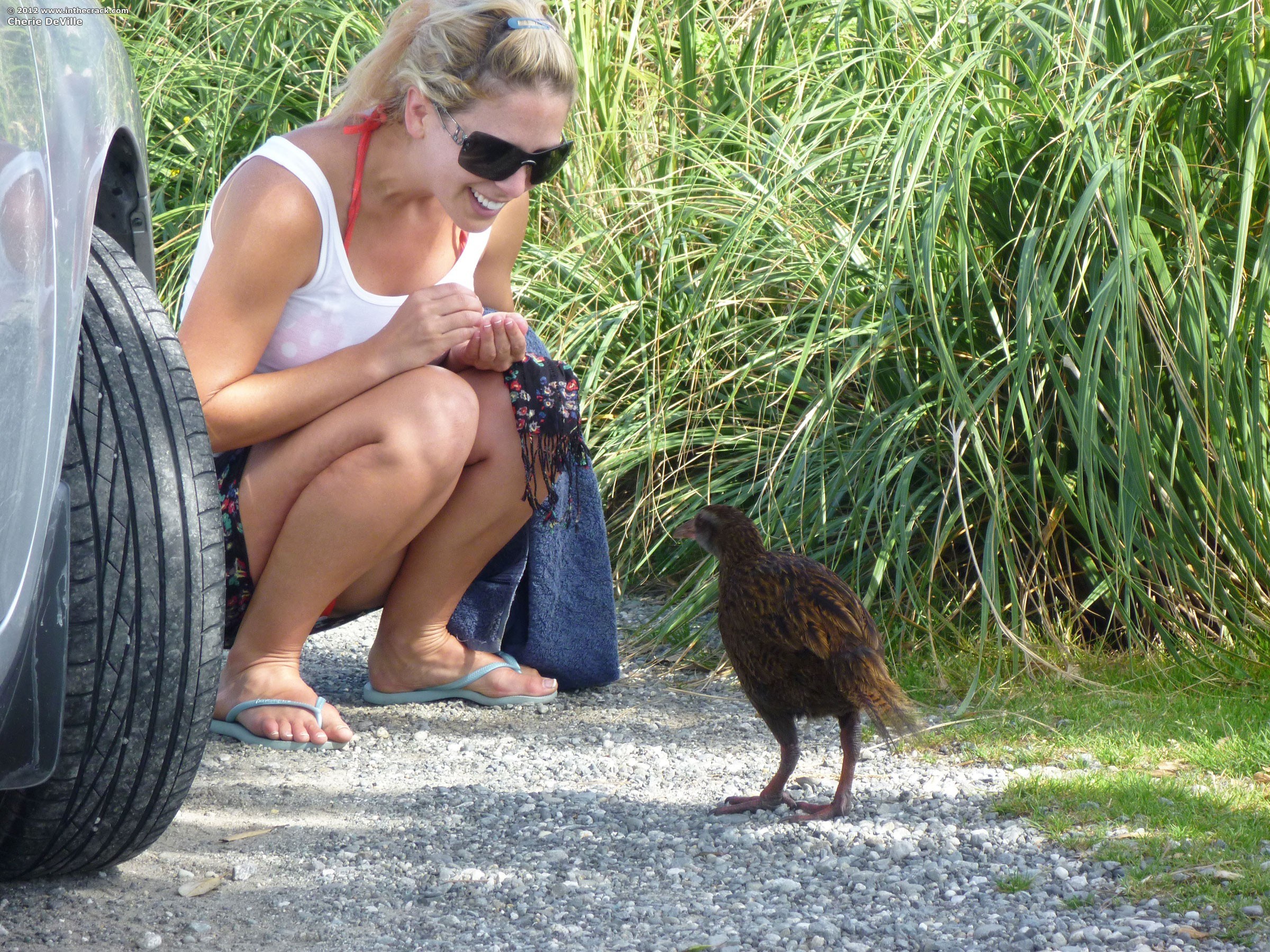 Woman feeding a bird